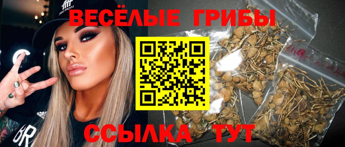 Псилоцибиновые грибы прущие грибы Сосновоборск